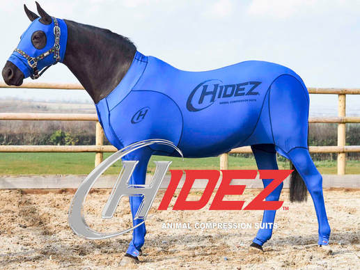 Hidez Compression Suits What are they?